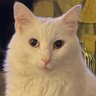 Katty profil fotoğrafı