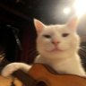 Omar Porfirio20.'s profile picture