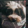 SideShot's profile picture