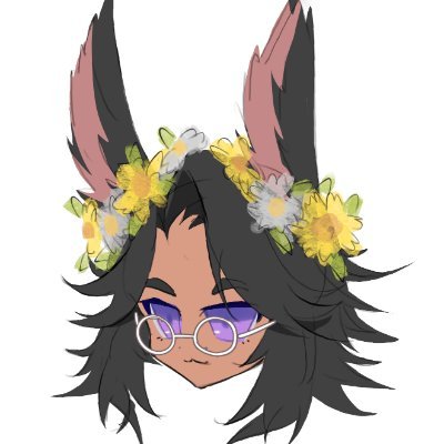 Erin Kor's profile picture