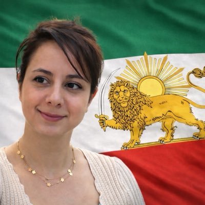 Shima Moein's profile picture