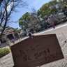 まりもちゃん profil fotoğrafı