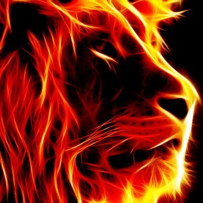 Cigano's profile picture