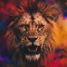 mvk profil fotoğrafı