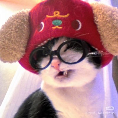 TranscosmicityS's profile picture