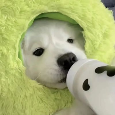 tinyrainjoy's profile picture