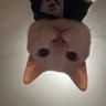 sunnyrosie's profile picture
