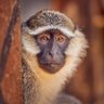 MOSET๐'s profile picture