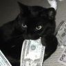 DebjeetXBT's profile picture