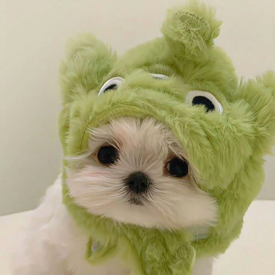 7's profile picture