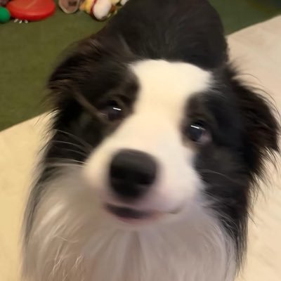 Lady_Ki11er's profile picture