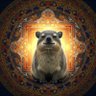 hyrax's profile picture