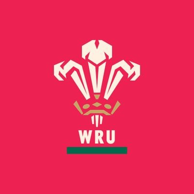 WelshRugbyUnion's profile picture