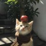 南风 的头像