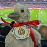Profilbild von LRMarta