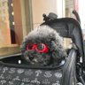 Фото профиля えりか