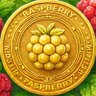 Profilbild von raspberry