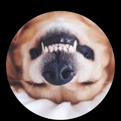 _p_i_l_a_r's profile picture