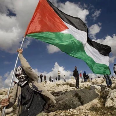 Palestina En Español 🎒's profile picture