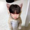 arii ENHYPEN IS 7 profil fotoğrafı