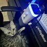 Profilbild von Flame_Boy2002