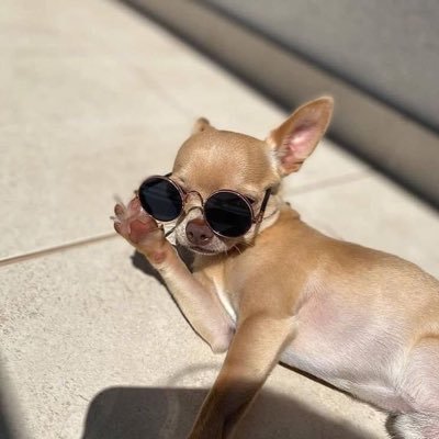 PpSLLYP's profile picture