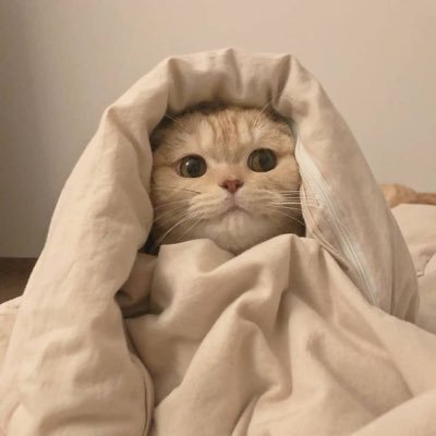 ChmpSo's profile picture