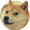 SteveH 的头像
