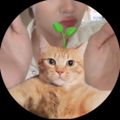 นามูซัง🌱's profile picture