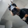 rez profil fotoğrafı