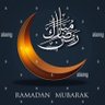 Mohamed El Masry's profile picture