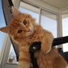 bet. profil fotoğrafı