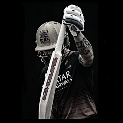 Steve's profile picture