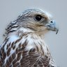 K's profile picture