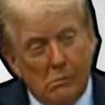 zognald 的头像