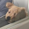 SKYBAIPOR🌻🐻❄️ profil fotoğrafı