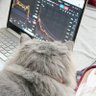 hobbuuu's profile picture