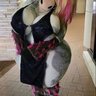 Profilbild von Mare Chrysalis AD🔞 ➡️MFF