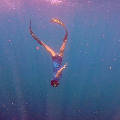 Andrew Fidel Fernando's profile picture