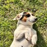 ll.spartaçus profil fotoğrafı
