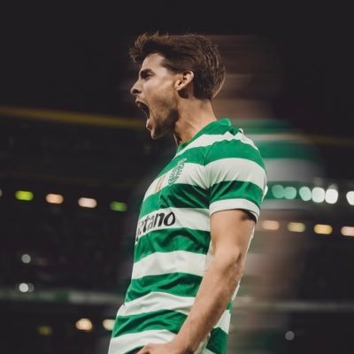 𝗔𝗗𝗡 𝗗𝗢 𝗟𝗘𝗔̃𝗢's profile picture