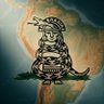 Auqui Mestizo 🇵🇪 🇨🇴 🇪🇨 的头像
