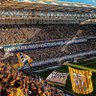 🌿 FENERLİYİZ! 💛💙's profile picture