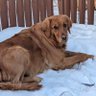 Фото профиля Maggie