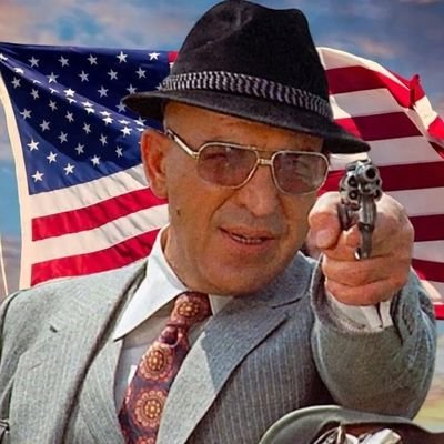 Reasonable Man 🇺🇸's profile picture