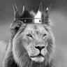 Profilbild von YUNKING๐