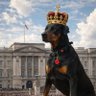 Profilbild von ShazAttak 🇬🇧🏴🇮🇪🏴🇺🇸