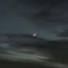 S's profile picture