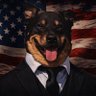 Sir Rottweiler 🐾 🇺🇸🏳️‍🌈 profil fotoğrafı