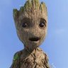 IAmNotGroot 的头像
